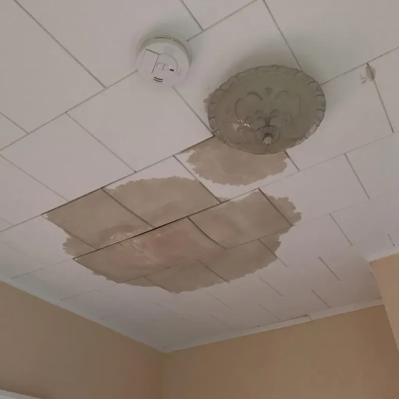 Ceiling Water Damage Repair in Weston Mills, NY