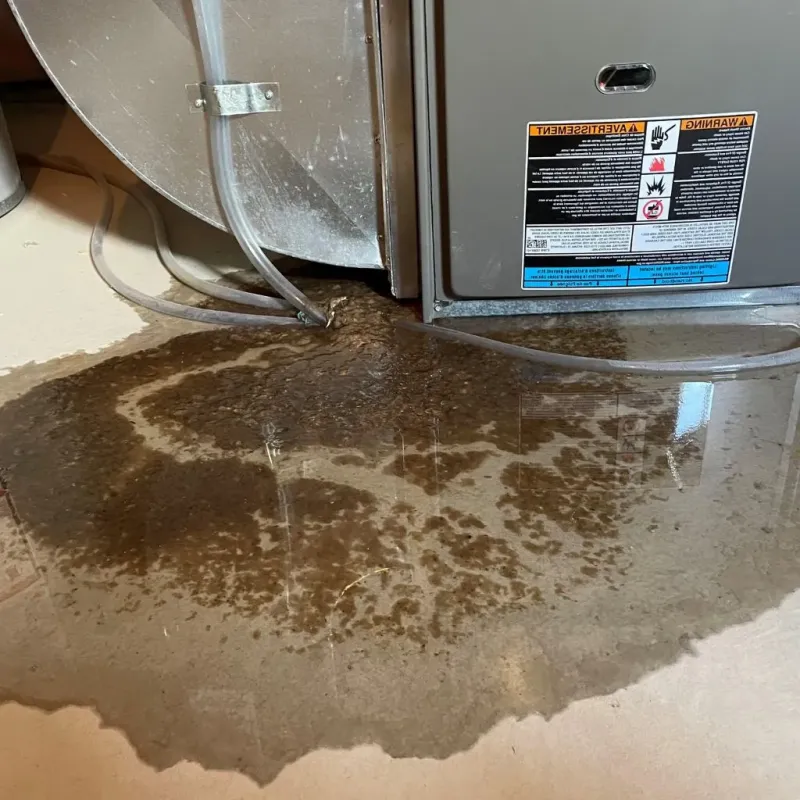 Pipe Burst and Leak Restoration in Weston Mills, NY