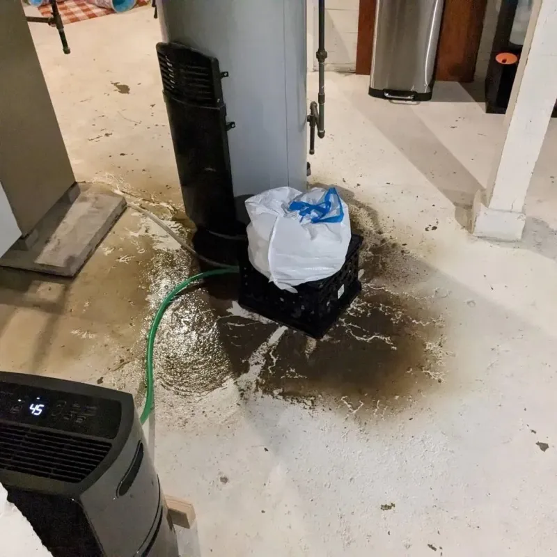 Sewage Backup Cleanup Service in Weston Mills, NY
